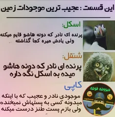 عجب جاندارِ عجیبیه وااا😅 😂