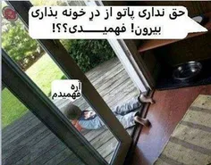 به این میگن بچه حرف گوش کن.