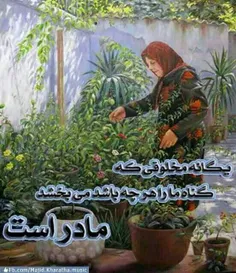 سَری را که درد نمیکند,