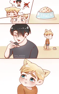 Eruri 3/6