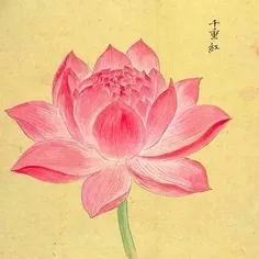 ◦•◉✿ بـــیـ‌و ✿◉•◦