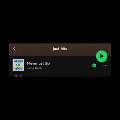 آهنگ "Never Let Go" به پلی لیست ‹ Just Hits › اضافه شد