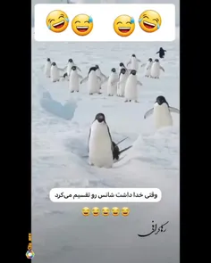 یکیم نیس بگه بمن مسیر اشتباه میری🤣🤣🤣🤣🤣🤣توتقسیم شانس🤣🤣🤣🤣