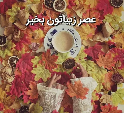 🍂 در این عصر زیبای پاییزیی