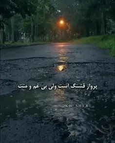 طنز و کاریکاتور 841212 34100177