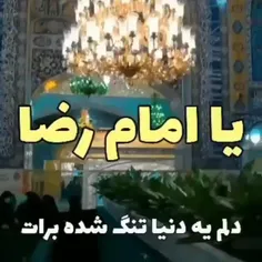 🌹+امام+رضا+جانم+دریاب+دلم+را