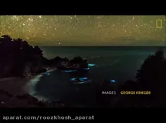 🌲ویدئوی پدیده شگفت انگیز آب رنگارنگ دریا در شب در ساحل کالیفرنیای آمریکا🌲