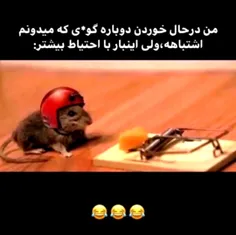 وقتی میدونی ولی میخای تلاشی دوباره کنی🙃