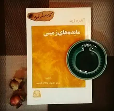 آن گاه که لیاقت دریافت خدا را در خویش داشته باشی، بدان که