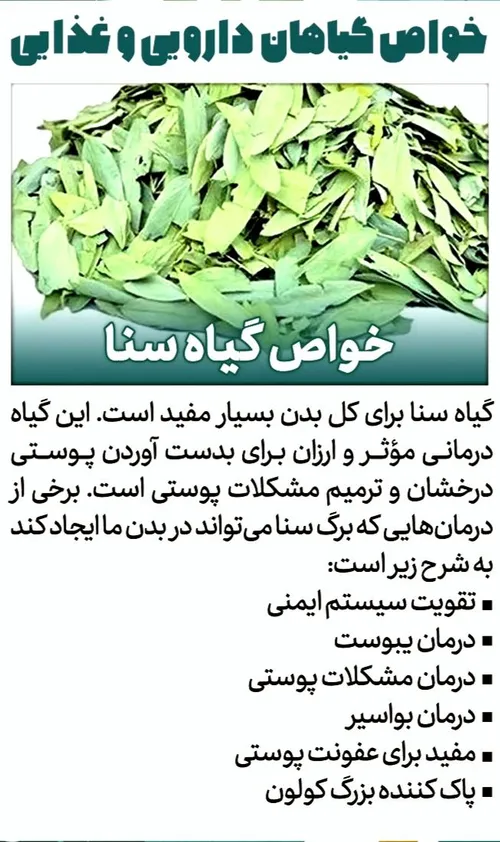 خواص گیاه سنا