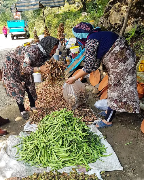 شخصا عاشق اینجور خرید و فروش به سبک محلی و سنتی هستم ، خر