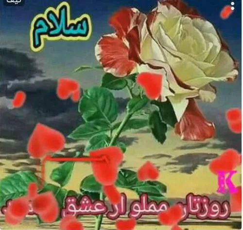 🌹خدایا🌹🕊