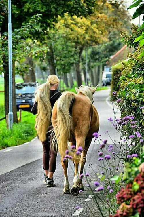 ببینید چ خوشگله