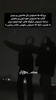 تولد داوشمهههه 🥹