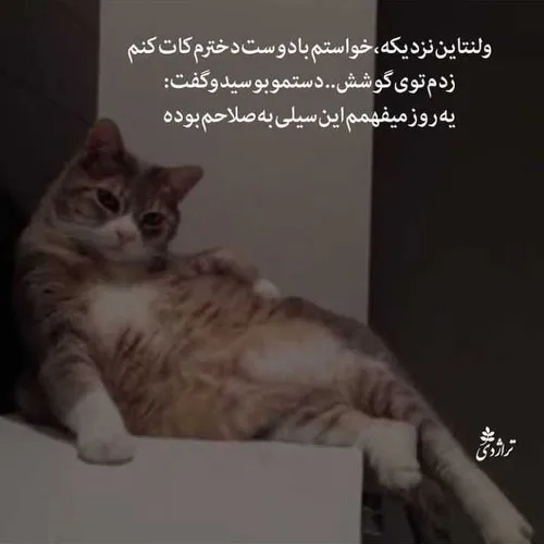 پسران دیوث دختران دیوث تر😈😹