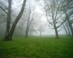 بک گراند- مه