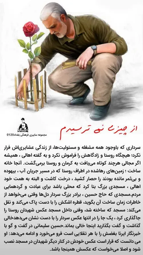 از چیزی نمی ترسیدم