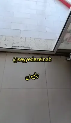 این خانم با شورت داره وارد قم میشه