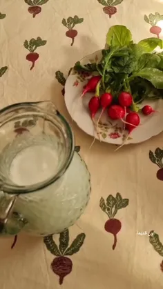 فهمیدم که زندگی یعنی بتوانی خودت رو سرگرم کنی