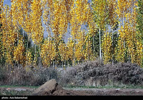 طبیعت زیبای پائیزی در الشتر استان لرستان