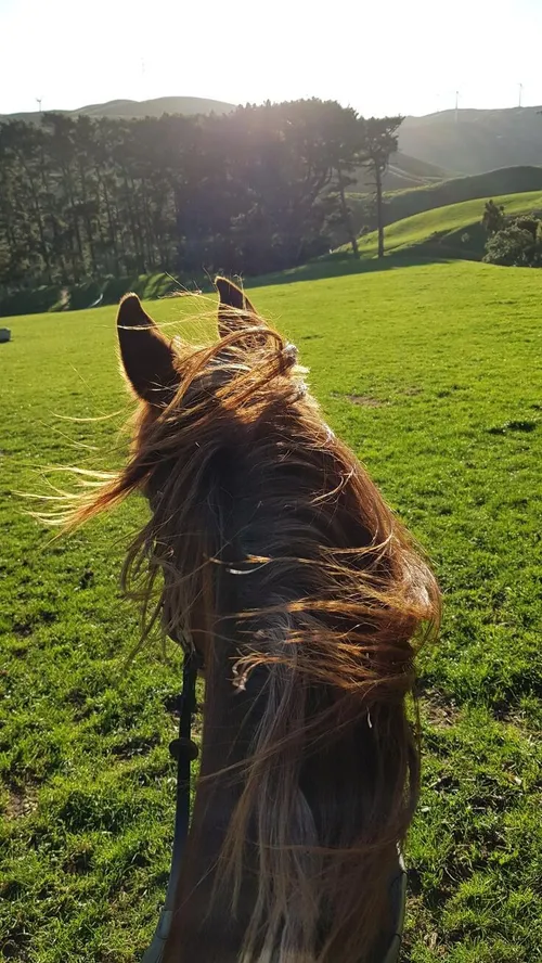 رمان دریای چشمات