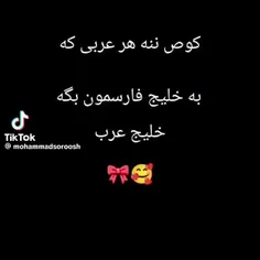 اگه دیگه یکی بگه خلیج عرب جر وا جرش میکنم