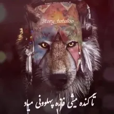 پست جدیدبدون کپشنه🔥