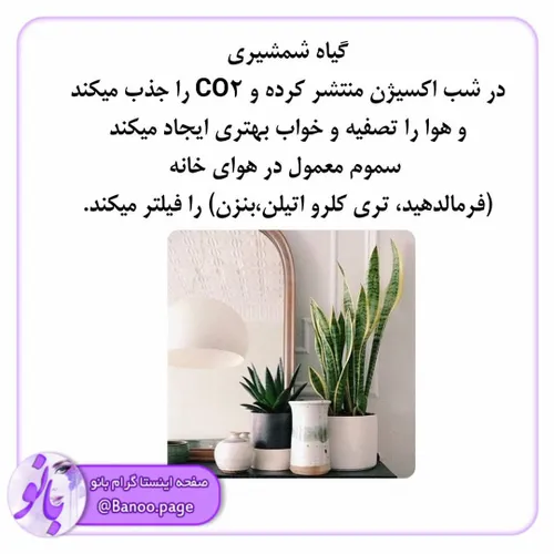 سلامت و تندرستی darya73 26240276 - عکس ویسگون