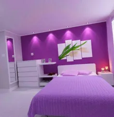 اگر کم خواب هستید وسایل اتاق خواب را به رنگ#بنفش درآورید 