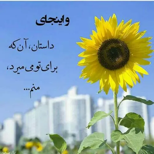 عکس نوشته مطلب