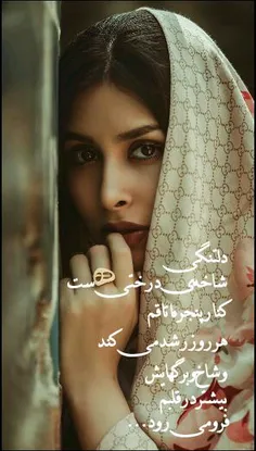 گوناگون morteza2607 21273557