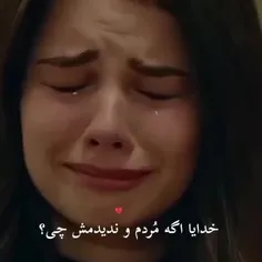 989938_1541 77419567