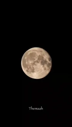 تولد زنیتسو عه😂همه خونه ما دعوتین