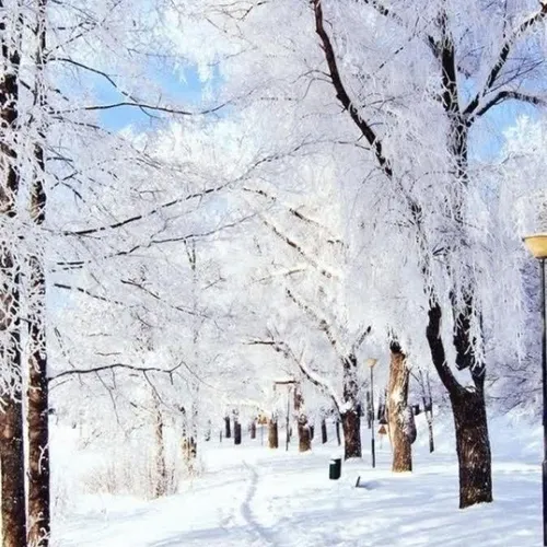 فصل زمستان بسیار زیبا و رویا یی است