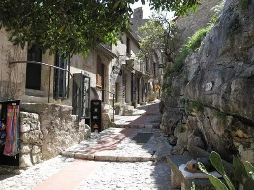 دوش دیدم وسط کوچه روان پیری مست