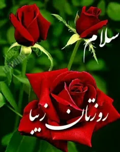 عاشقانه ها ali999999 26136645