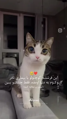 نگااااااا توروخدااا🥹🥹🎀🎀🎀