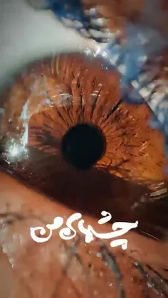 کپی ممنوع 