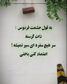 متن ناب