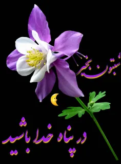 مذهبی amiraliamirali218 23840543