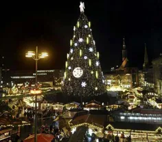 امسال یکی از بزرگترین درخت کریسمس
