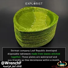 یک شرکت آلمانی با چسباندن#برگ ها به هم بشقاب هایی ساخته ک