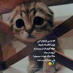 خیلی ظریفه :)😂💋