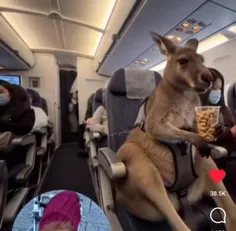 این بالاخره تونست بره مسافرت :))))))))