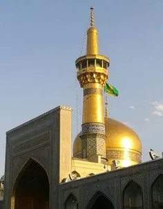 یا امام رضا