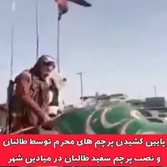 سکوت کسانی که ادعای جانشینی امام زمان رو دارن