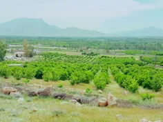 سلام دوستای گلم خوبین