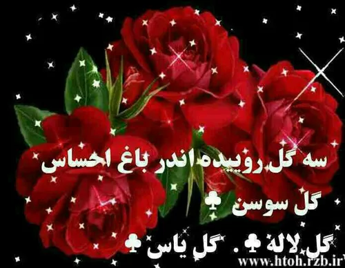 مذهبی mohammadmajid 26160535 - عکس ویسگون