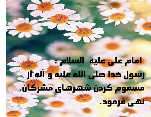 امام علی علیه السلام :