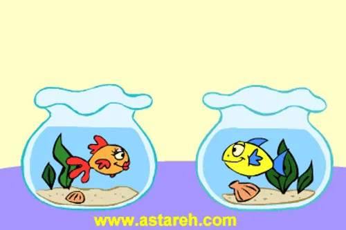 عشق